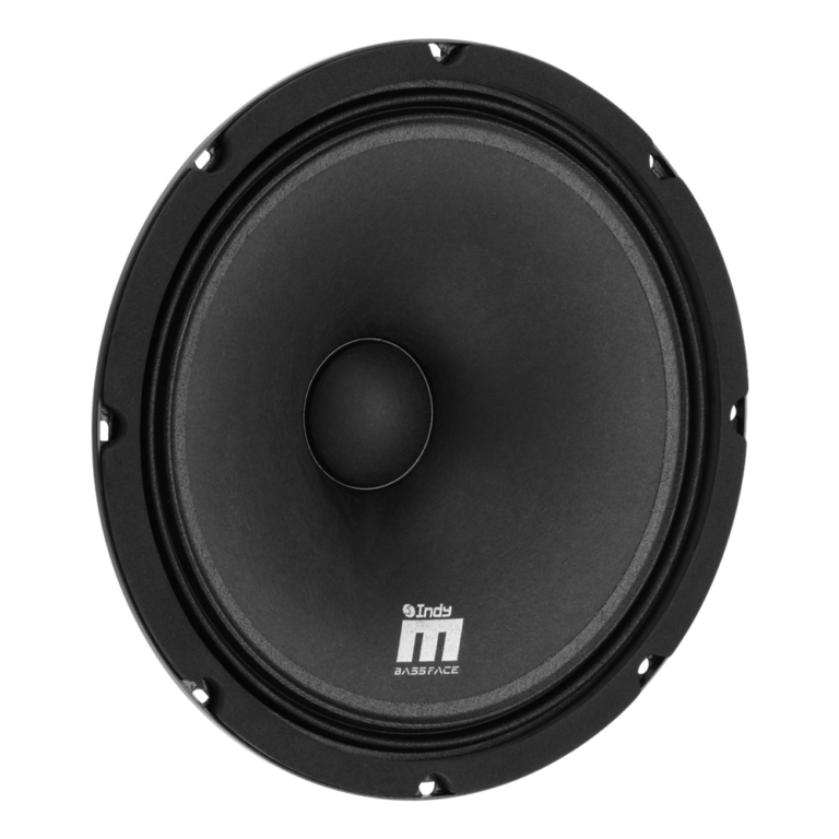 IndyM10/4 - Coppia Midrange 25 cm 10" 250 w rms 4 ohmWide Range - PAIR