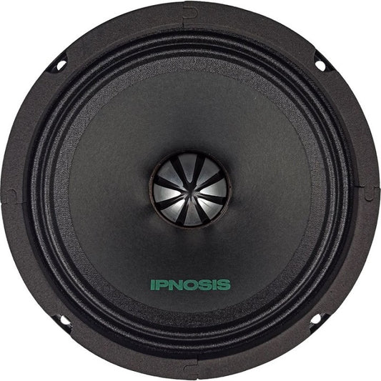 IPB 2160 - MID RANGE 165mm 100 W RMS